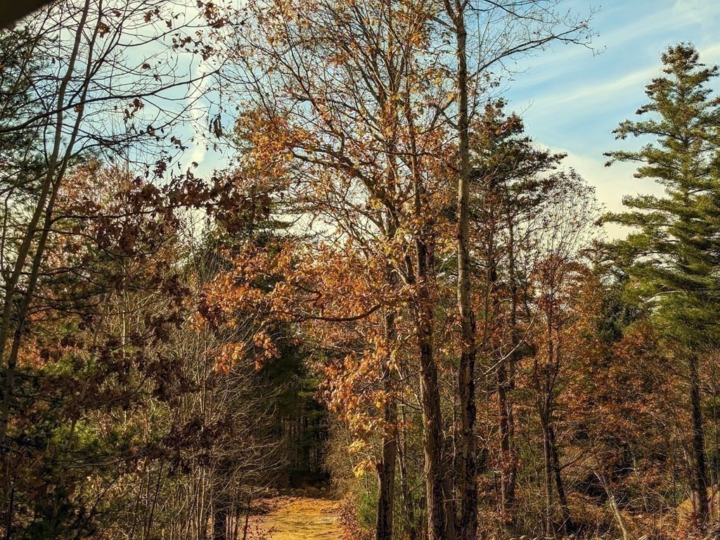 514 Old County Rd., Wales, MA 01081 - Image 30