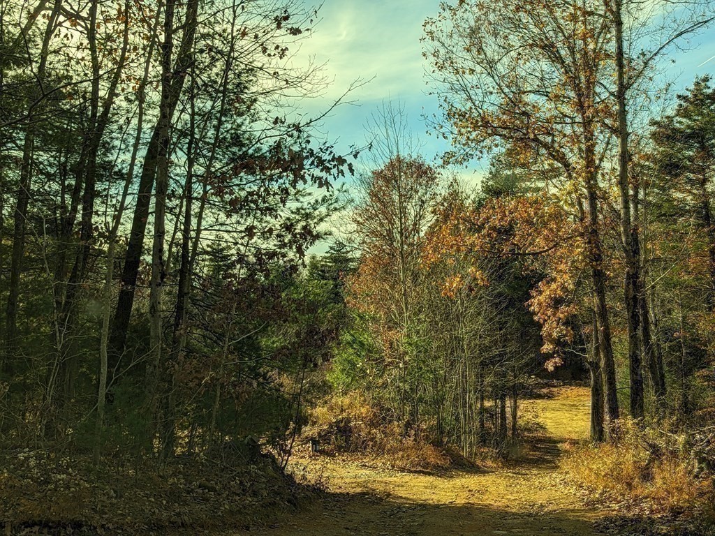 514 Old County Rd., Wales, MA 01081 - Image 31