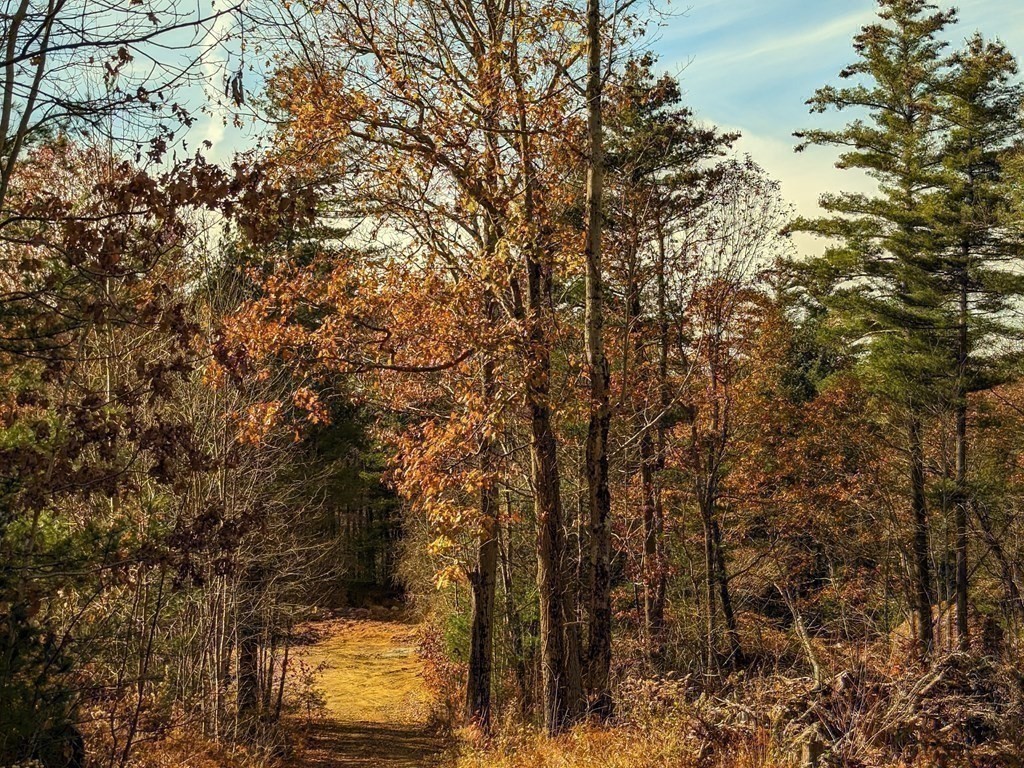 514 Old County Rd., Wales, MA 01081 - Image 32