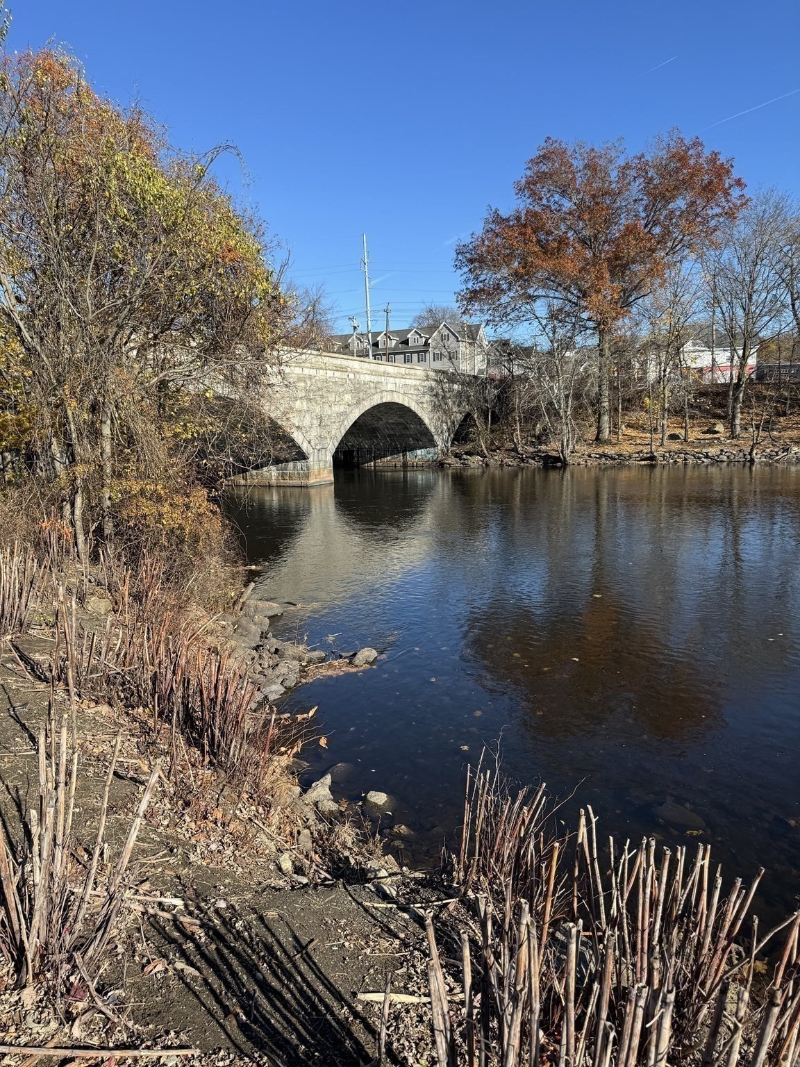 31 Merrill St, Lowell, MA 01852 - Image 4