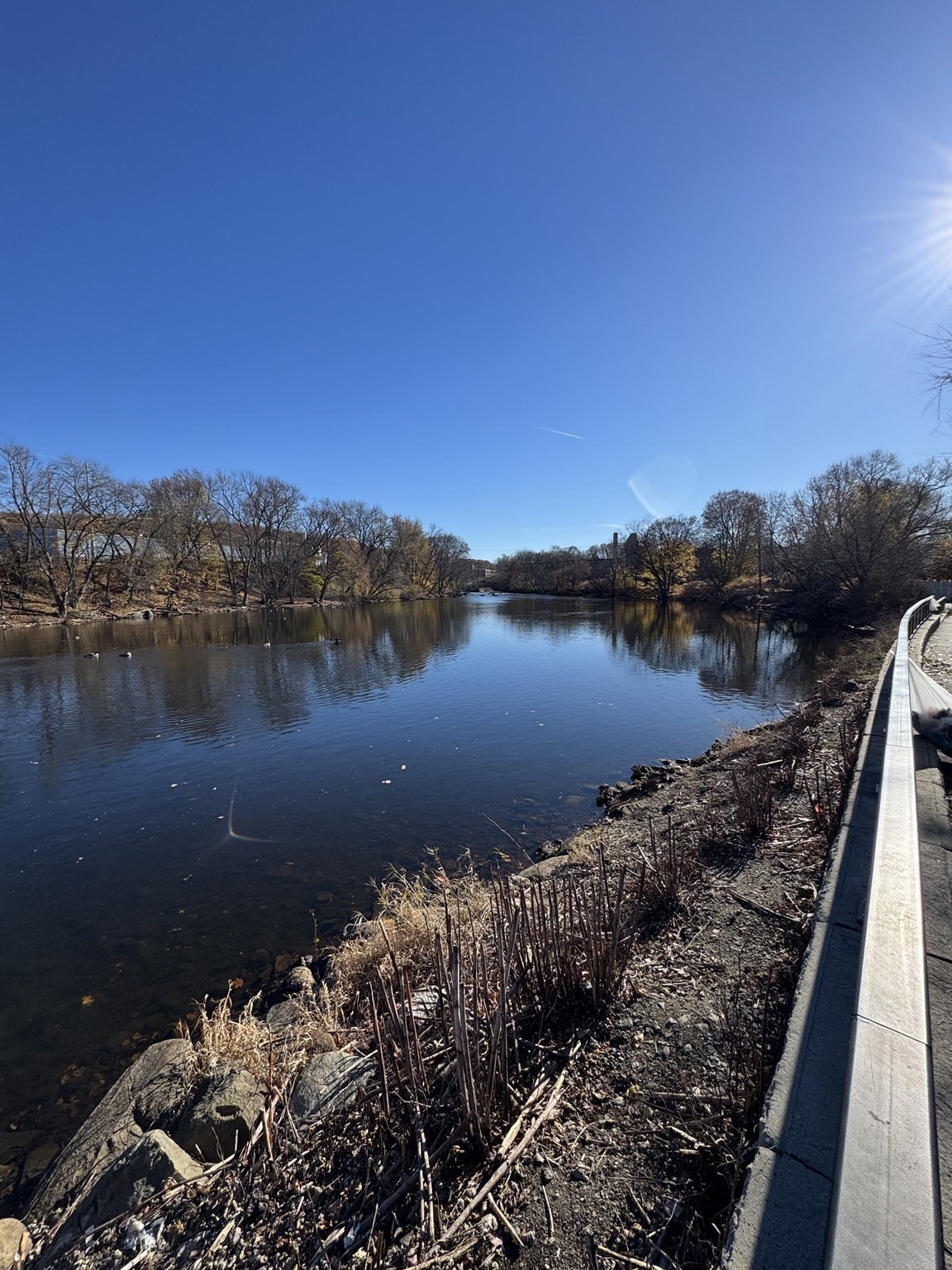 31 Merrill St, Lowell, MA 01852 - Image 33