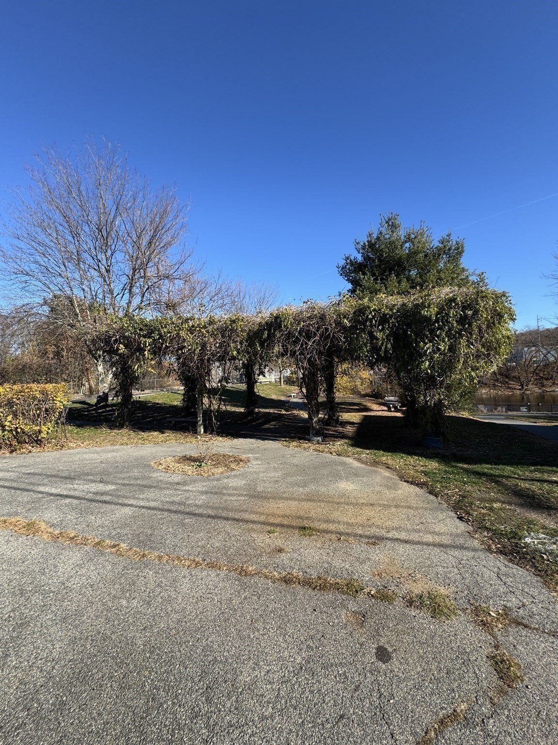 31 Merrill St, Lowell, MA 01852 - Image 34