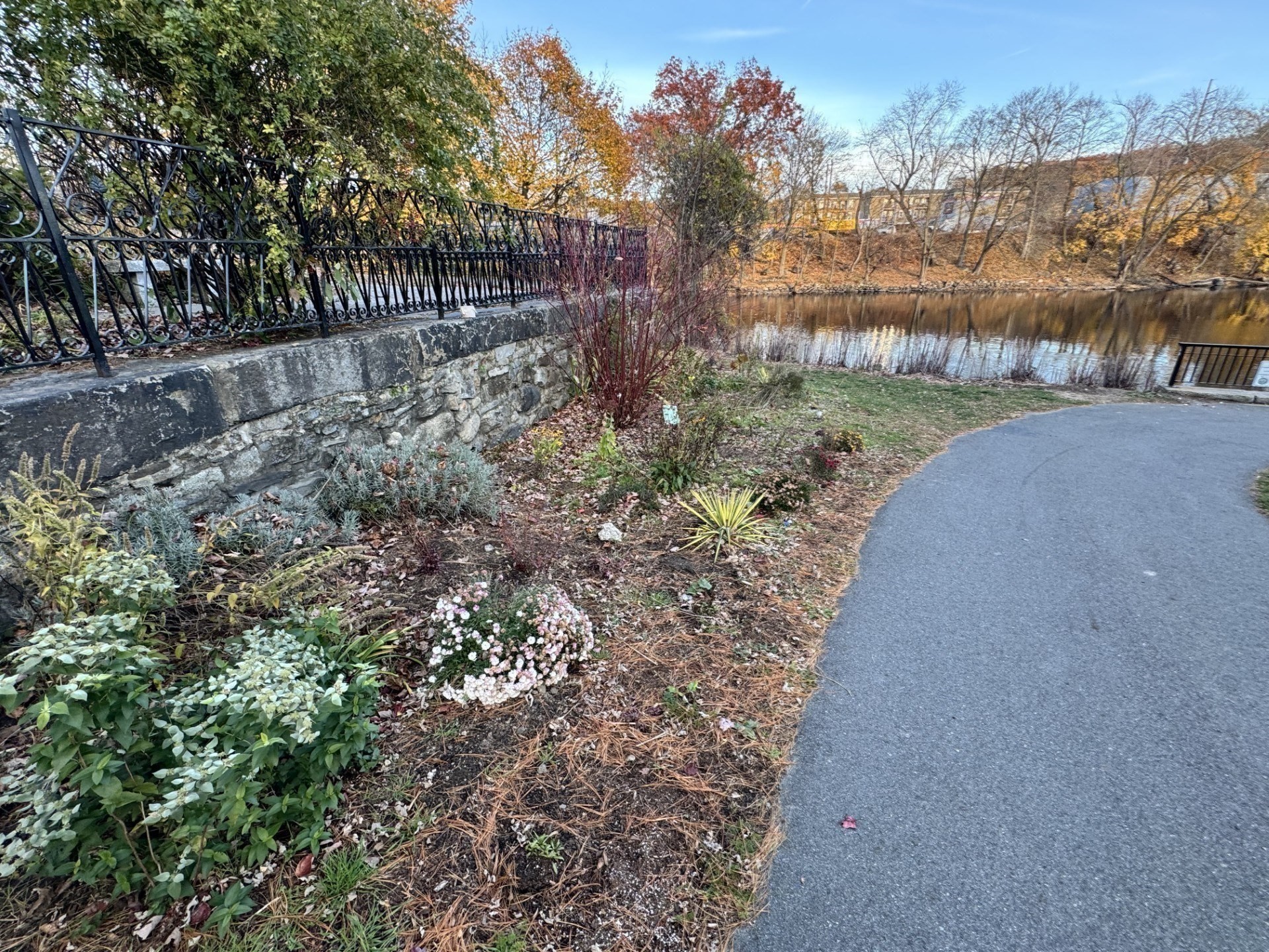 31 Merrill St, Lowell, MA 01852 - Image 36