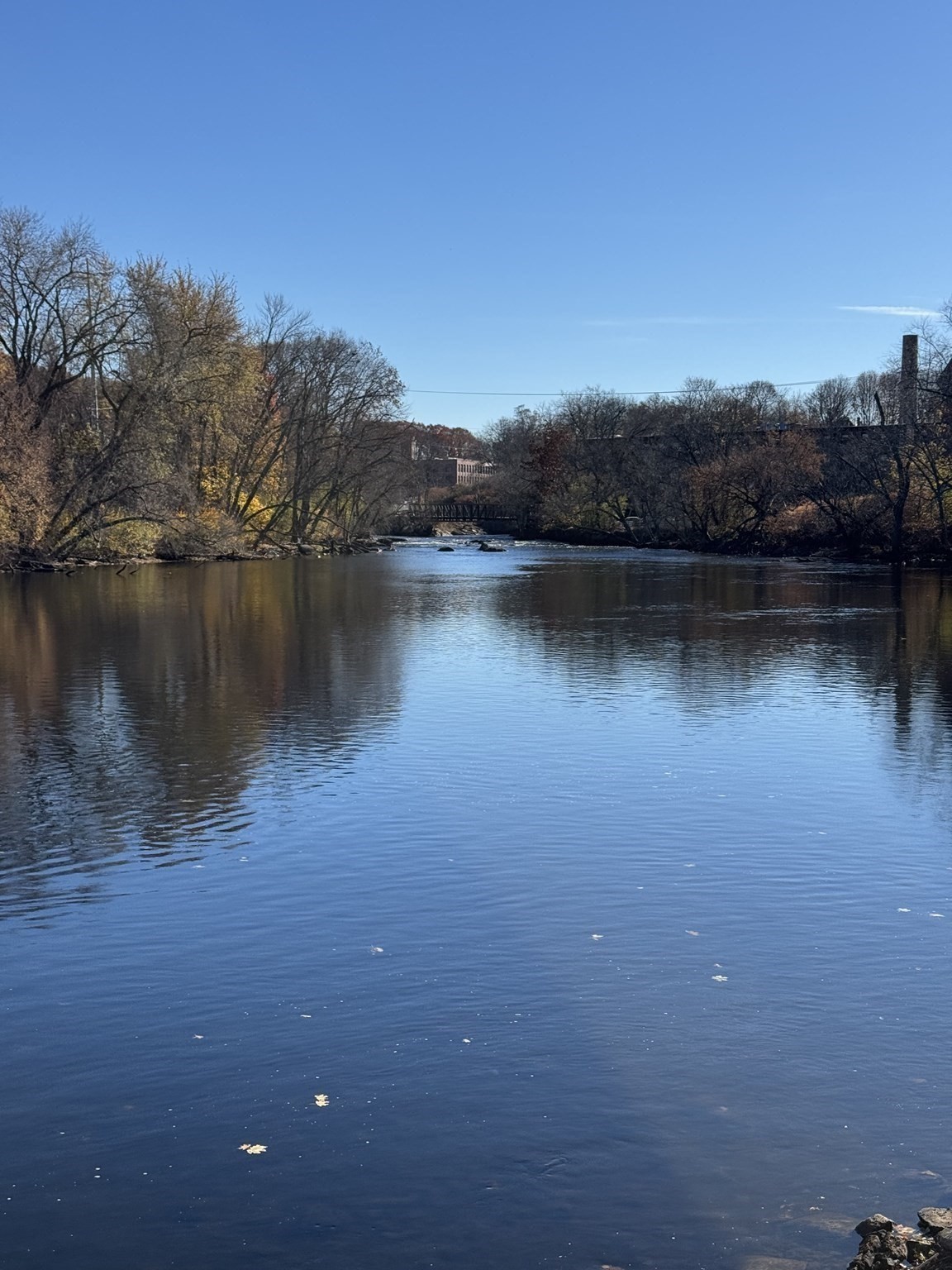 31 Merrill St, Lowell, MA 01852 - Image 5