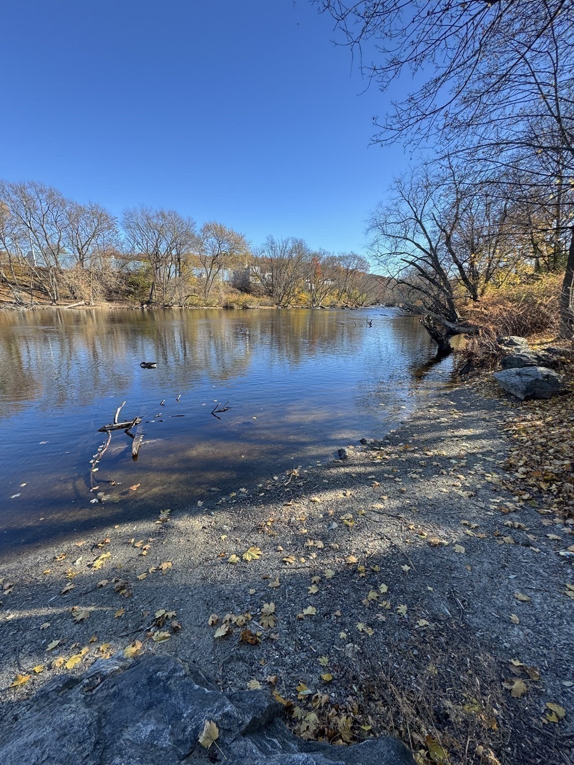 31 Merrill St, Lowell, MA 01852 - Image 6