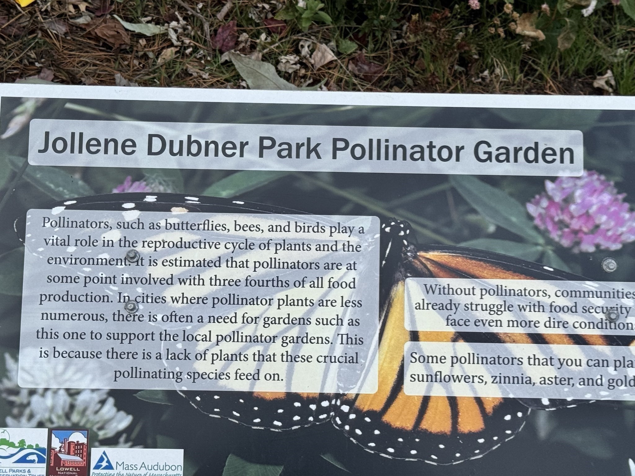 31 Merrill St, Lowell, MA 01852 - Image 7