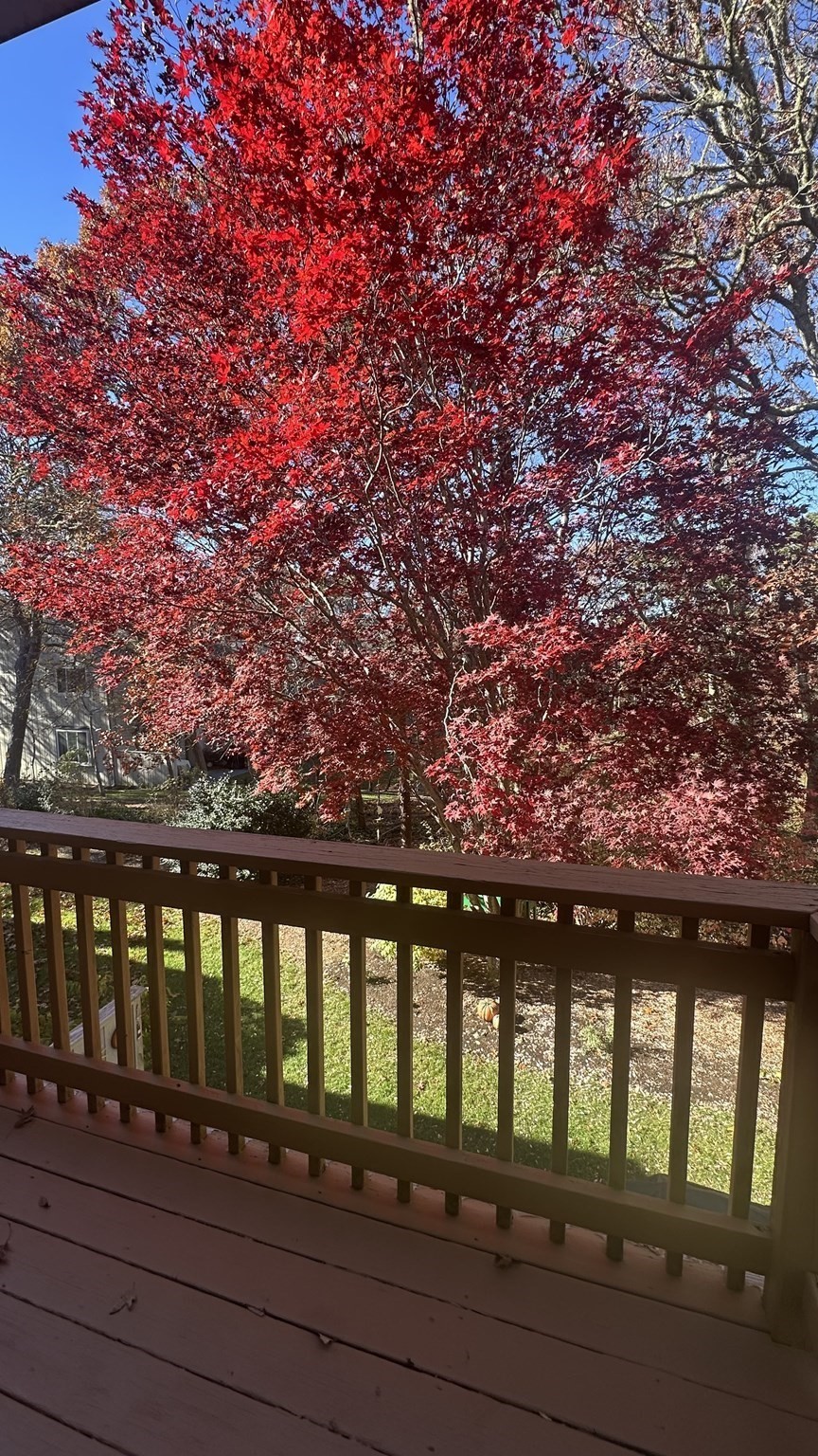 300 Buck Island Rd Unit 14F, Yarmouth, MA 02673 - Image 17