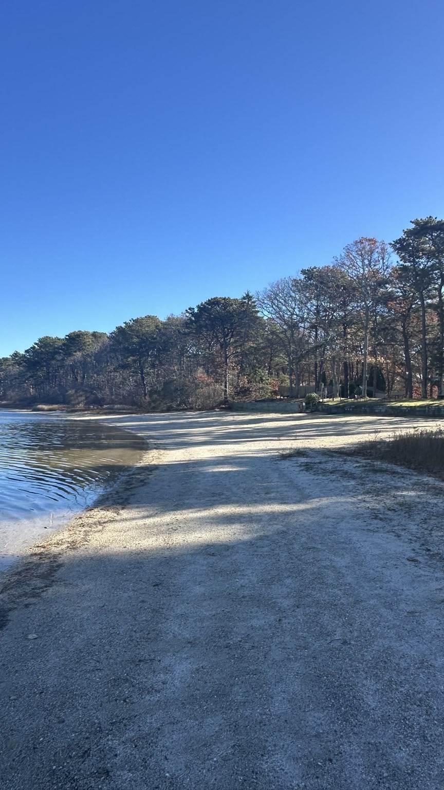 300 Buck Island Rd Unit 14F, Yarmouth, MA 02673 - Image 27