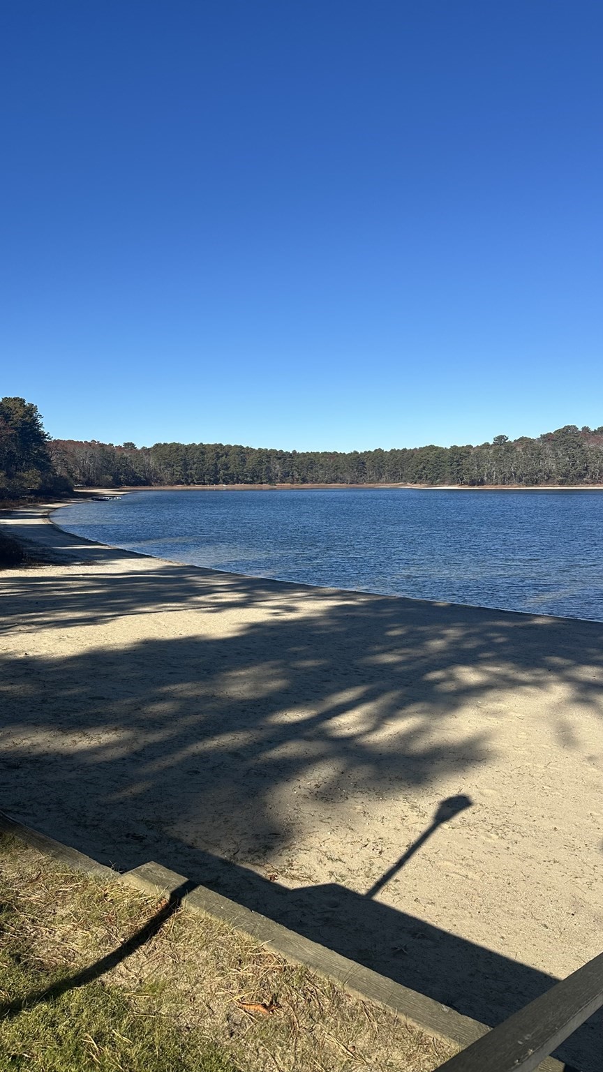 300 Buck Island Rd Unit 14F, Yarmouth, MA 02673 - Image 28