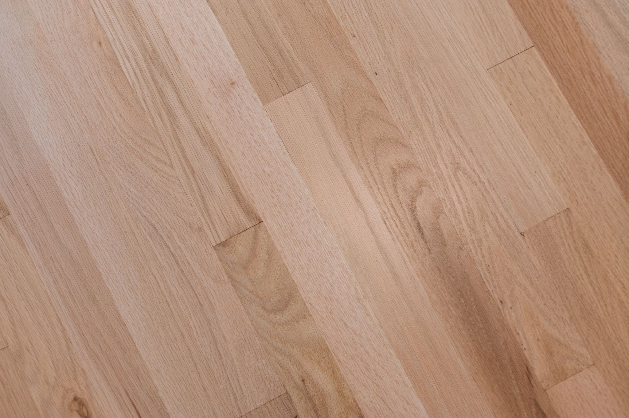 278 Princeton Street Unit 2, East Boston, Boston, MA 02128 - Image 24