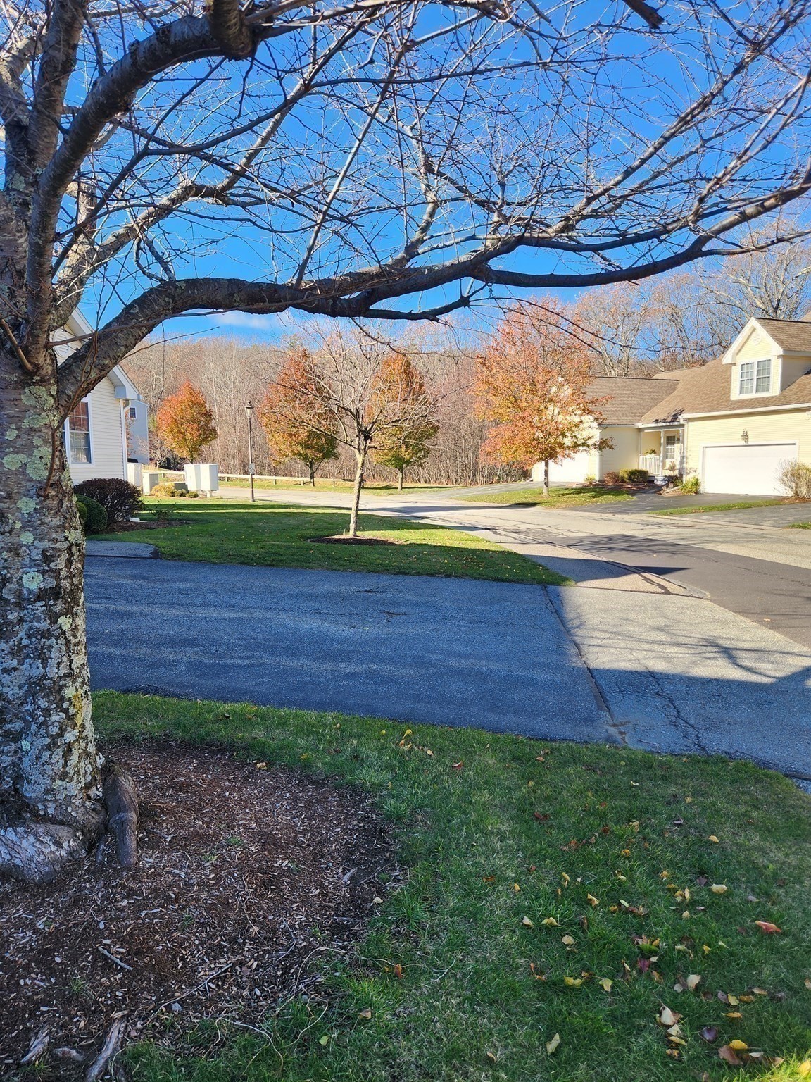 23 Horne Way Unit 23, Millbury, MA 01527 - Image 34