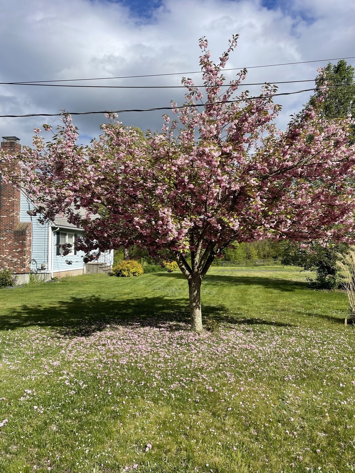 29 Rawson Rd, Bellingham, MA 02019 - Image 37