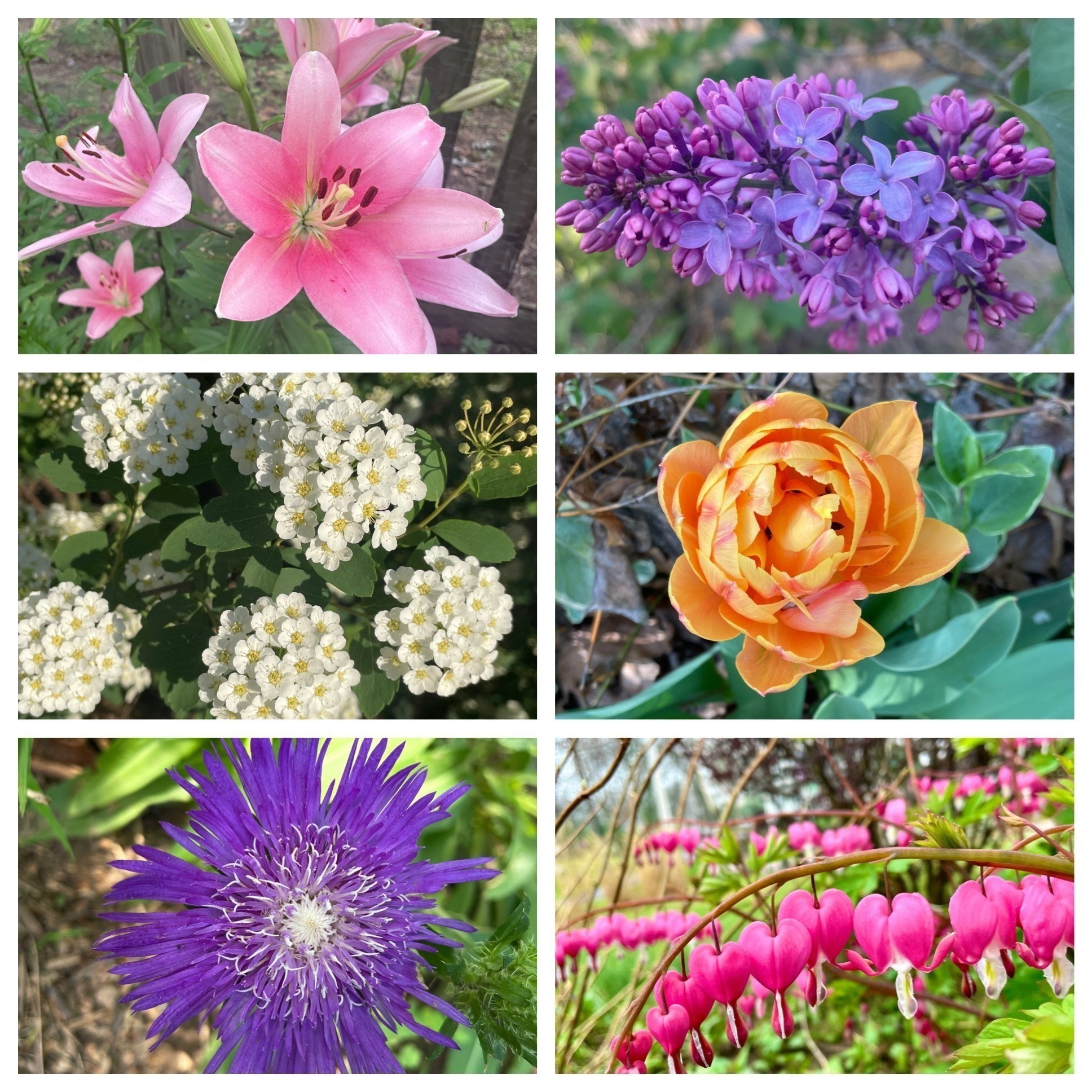 29 Rawson Rd, Bellingham, MA 02019 - Image 38