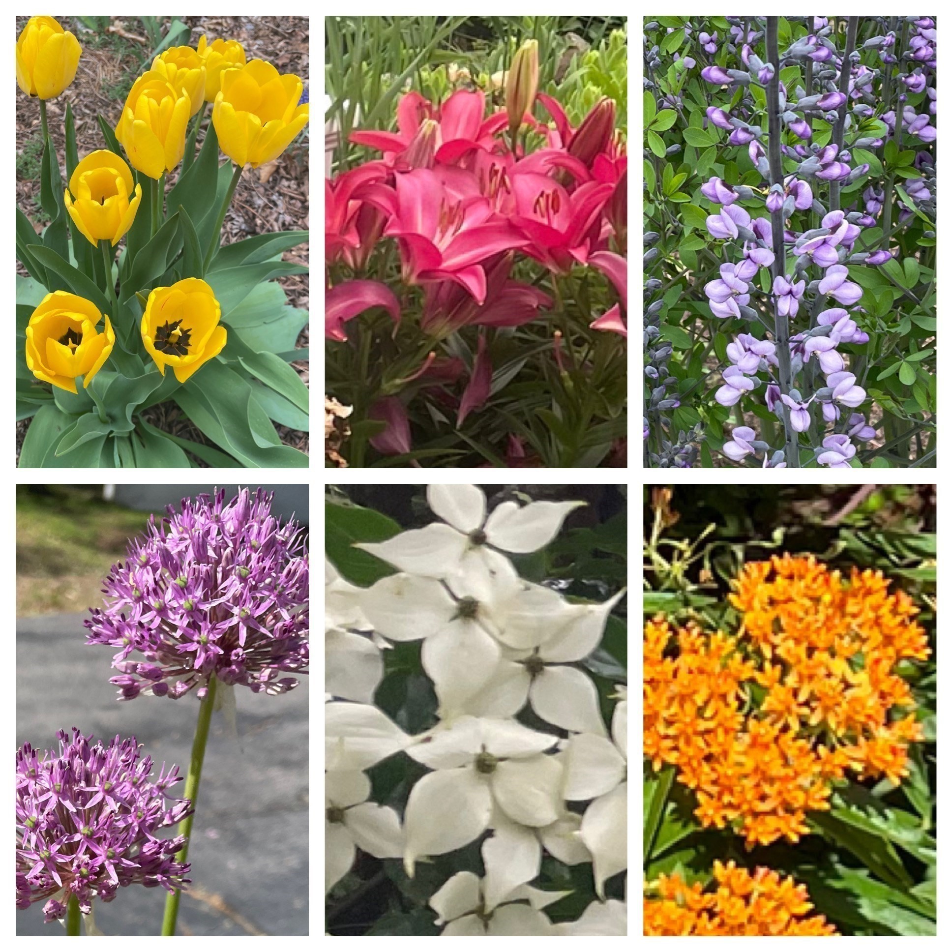 29 Rawson Rd, Bellingham, MA 02019 - Image 39