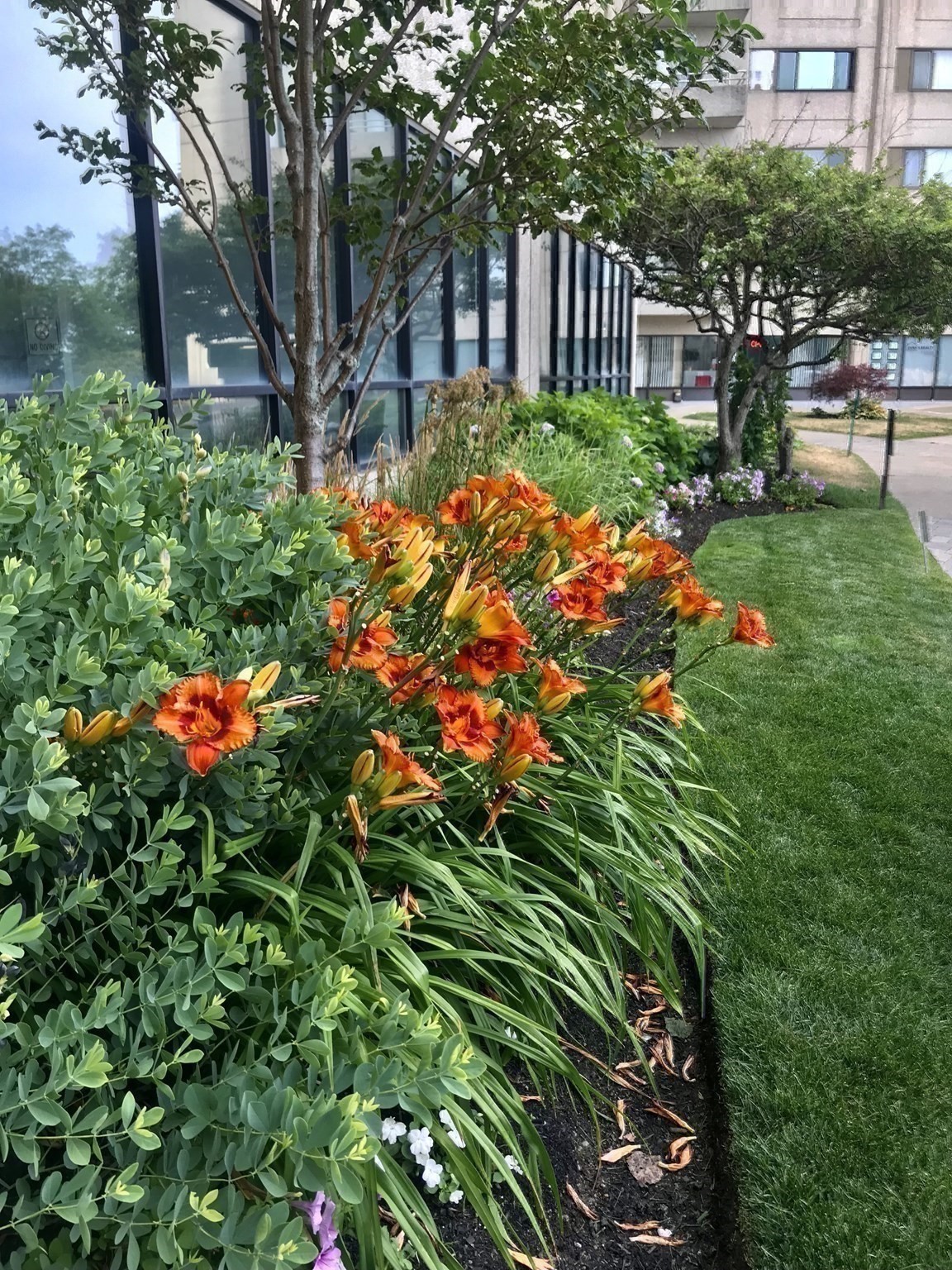 376 Ocean Ave Unit 706, Revere, MA 02151 - Image 40