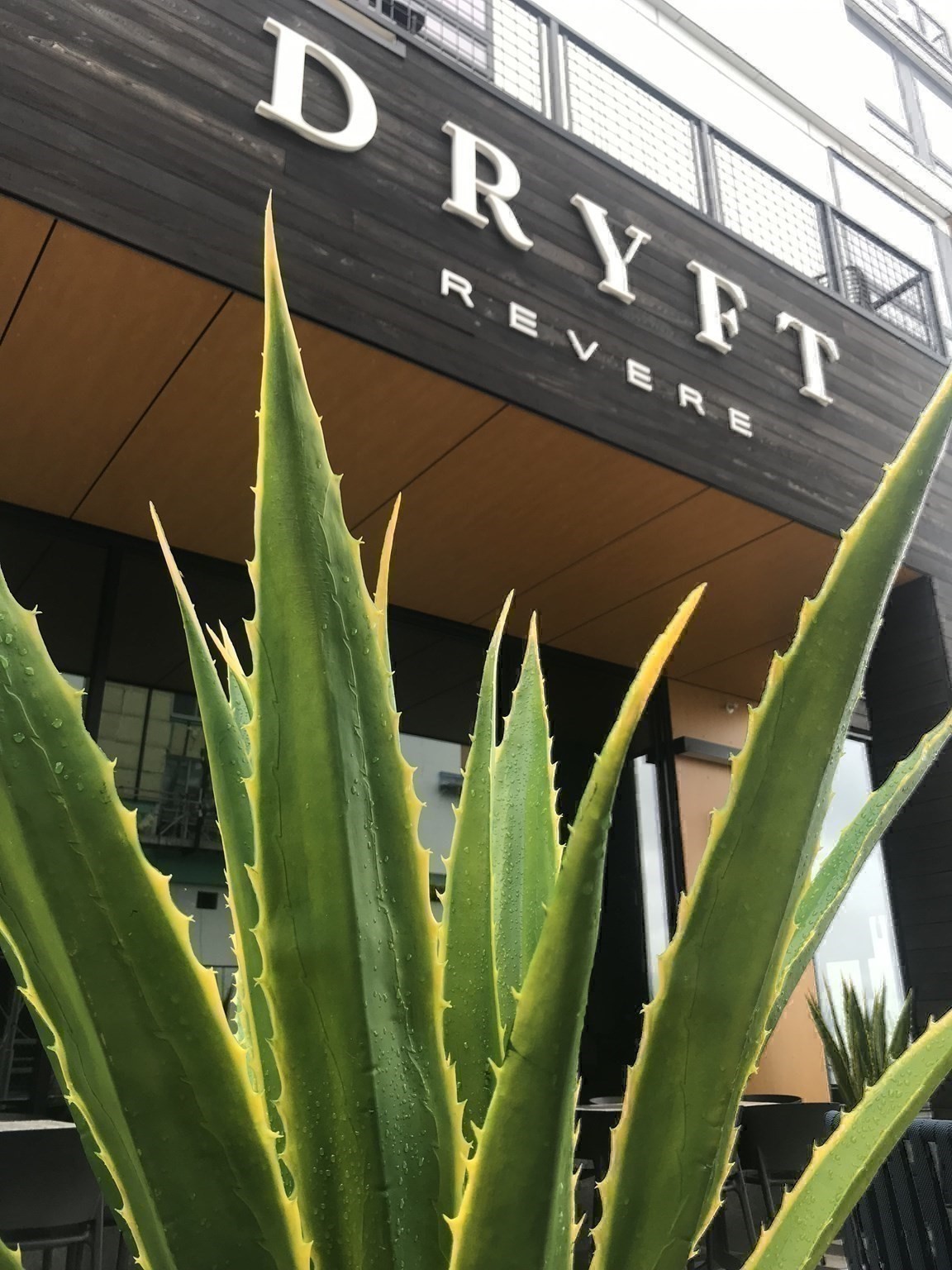 376 Ocean Ave Unit 706, Revere, MA 02151 - Image 41