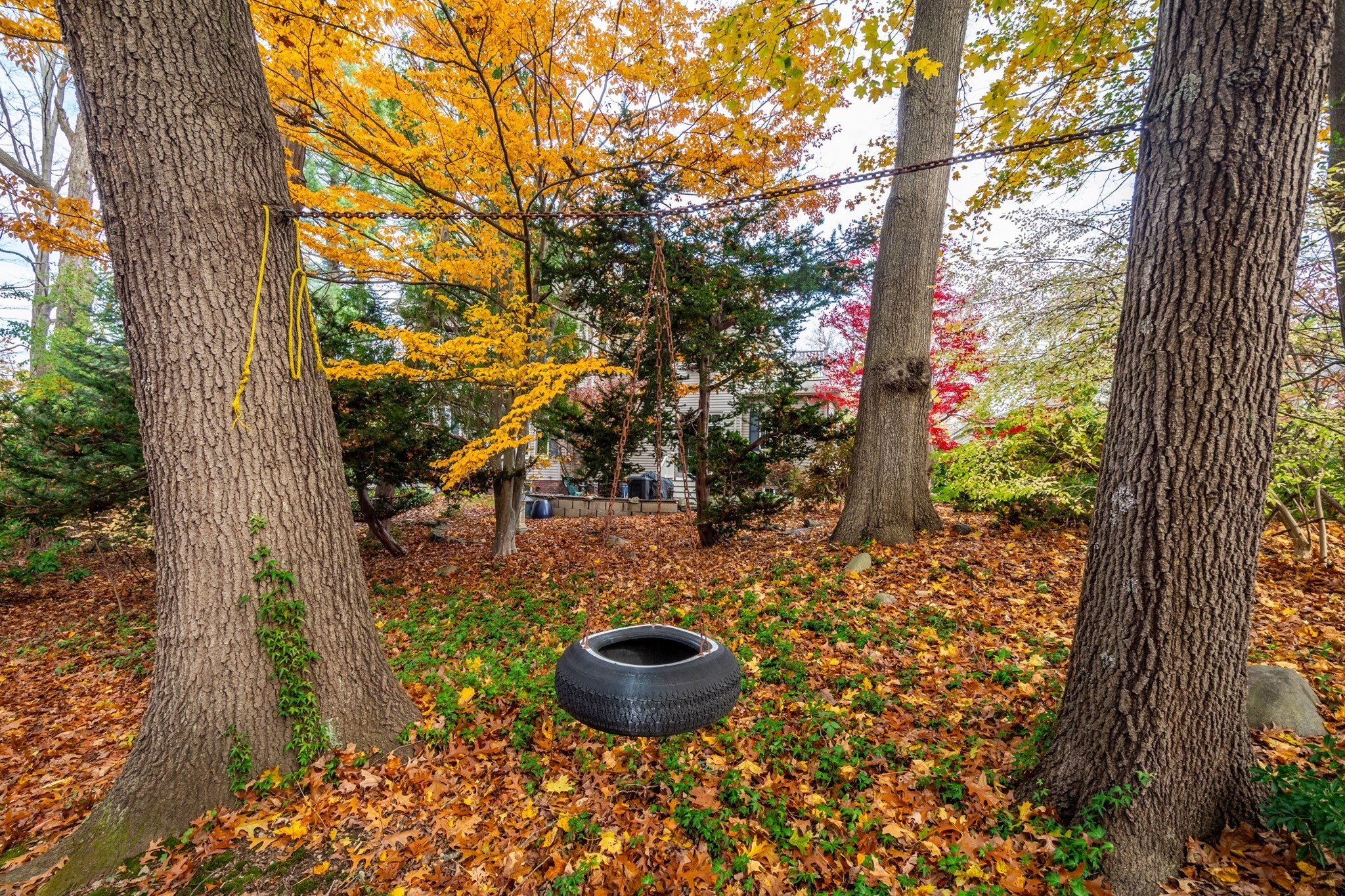 7 Brooks St, Winchester, MA 01890