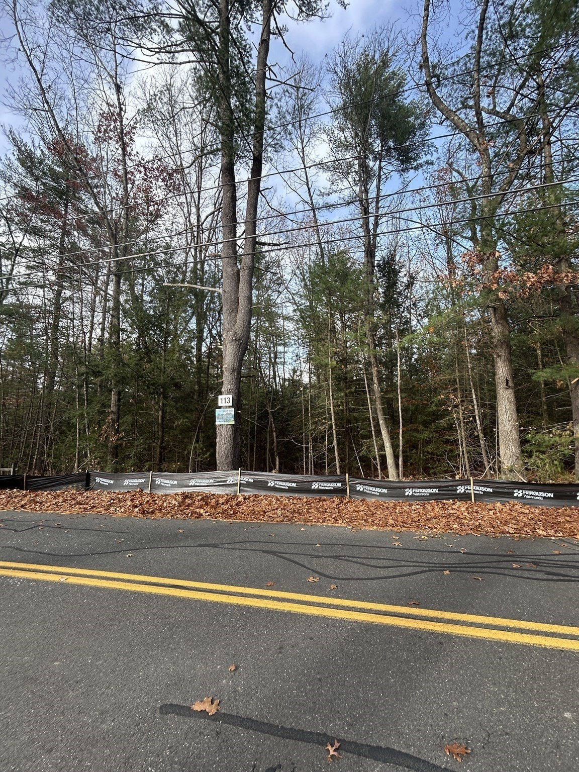 113 Pearl St, South Hadley, MA 01075 - Image 5