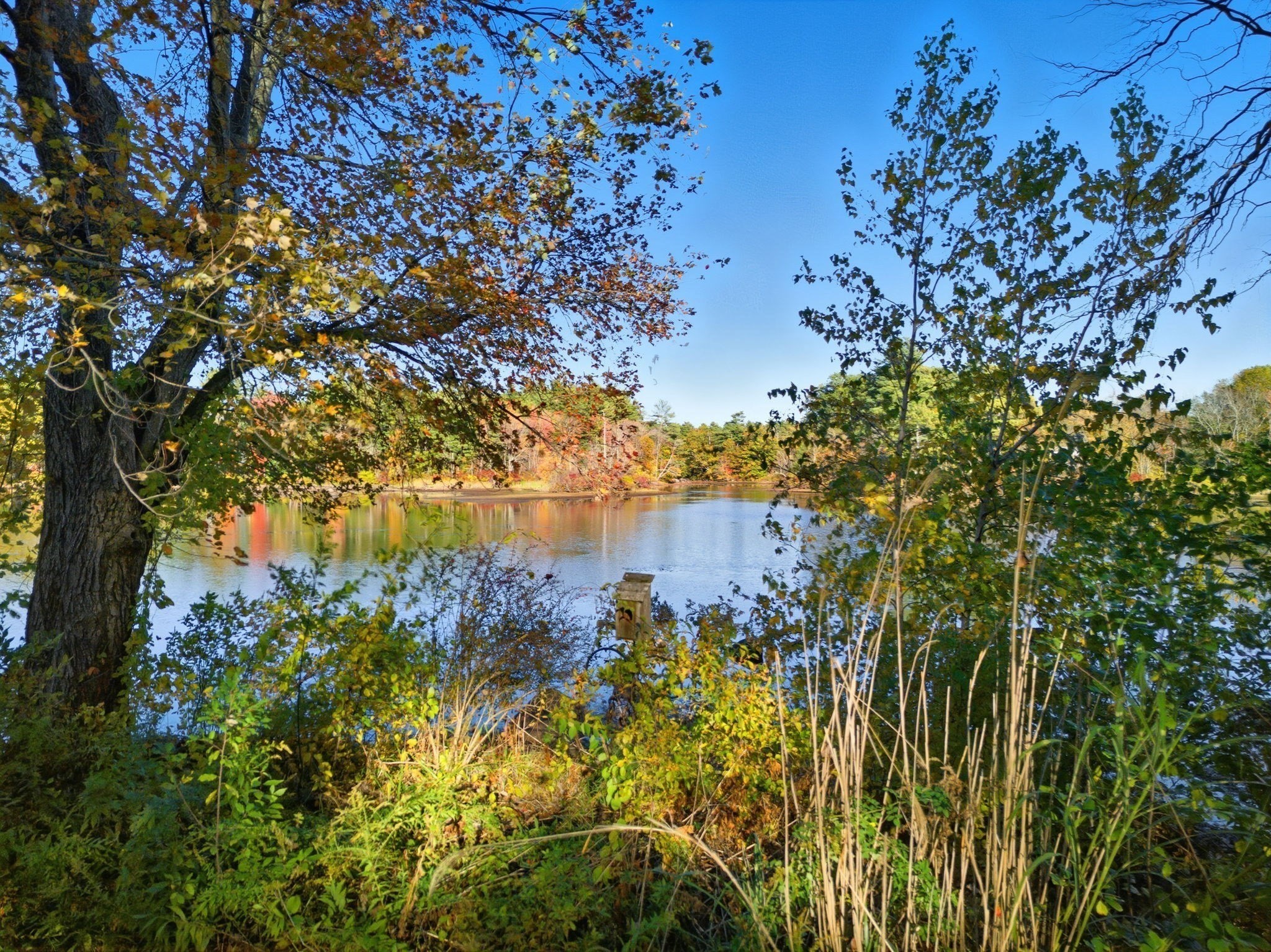 33 W Elm St, Hopkinton, MA 01748 - Image 3