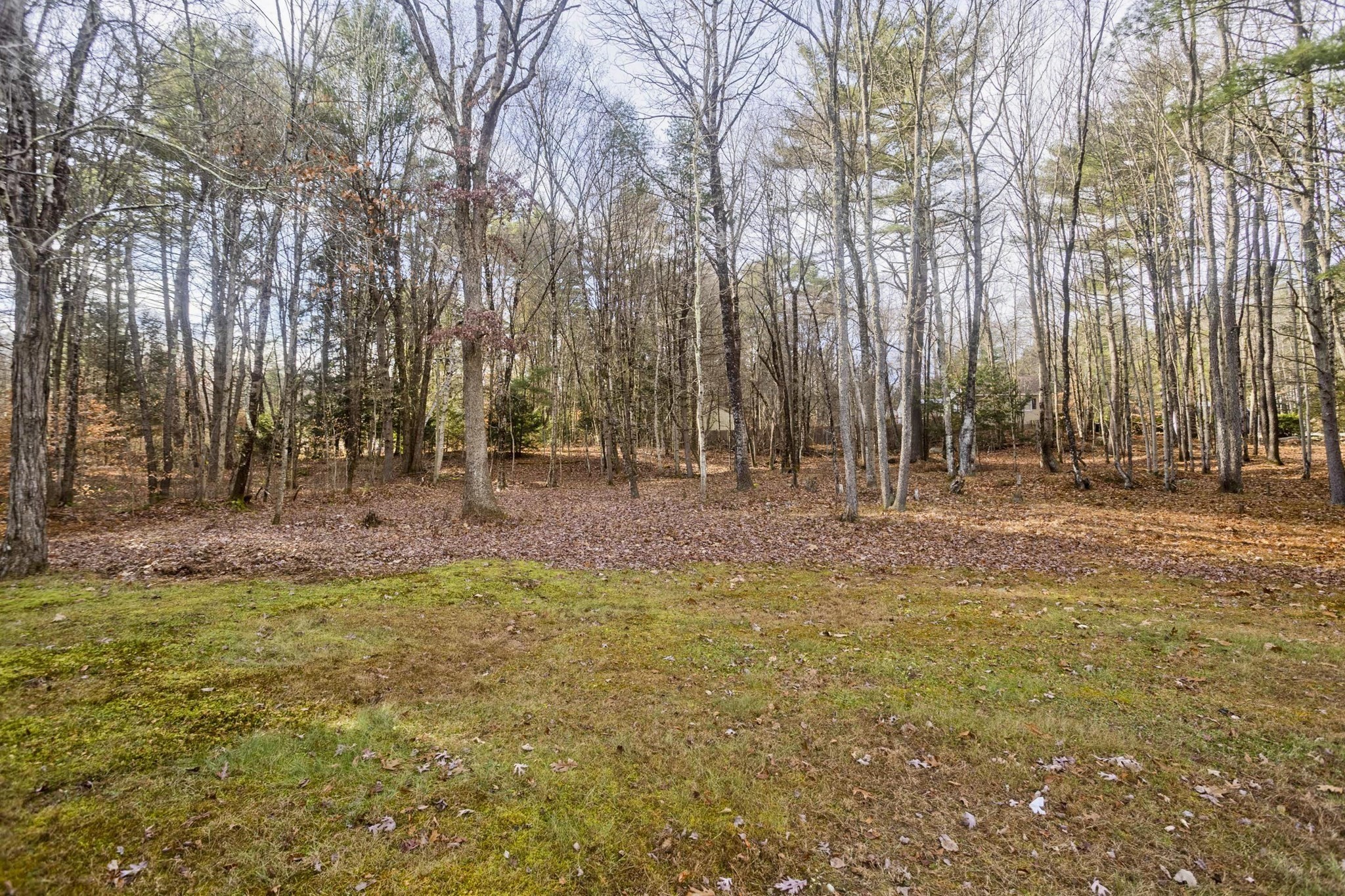 153 Dana Rd, Orange, MA 01364 - Image 36