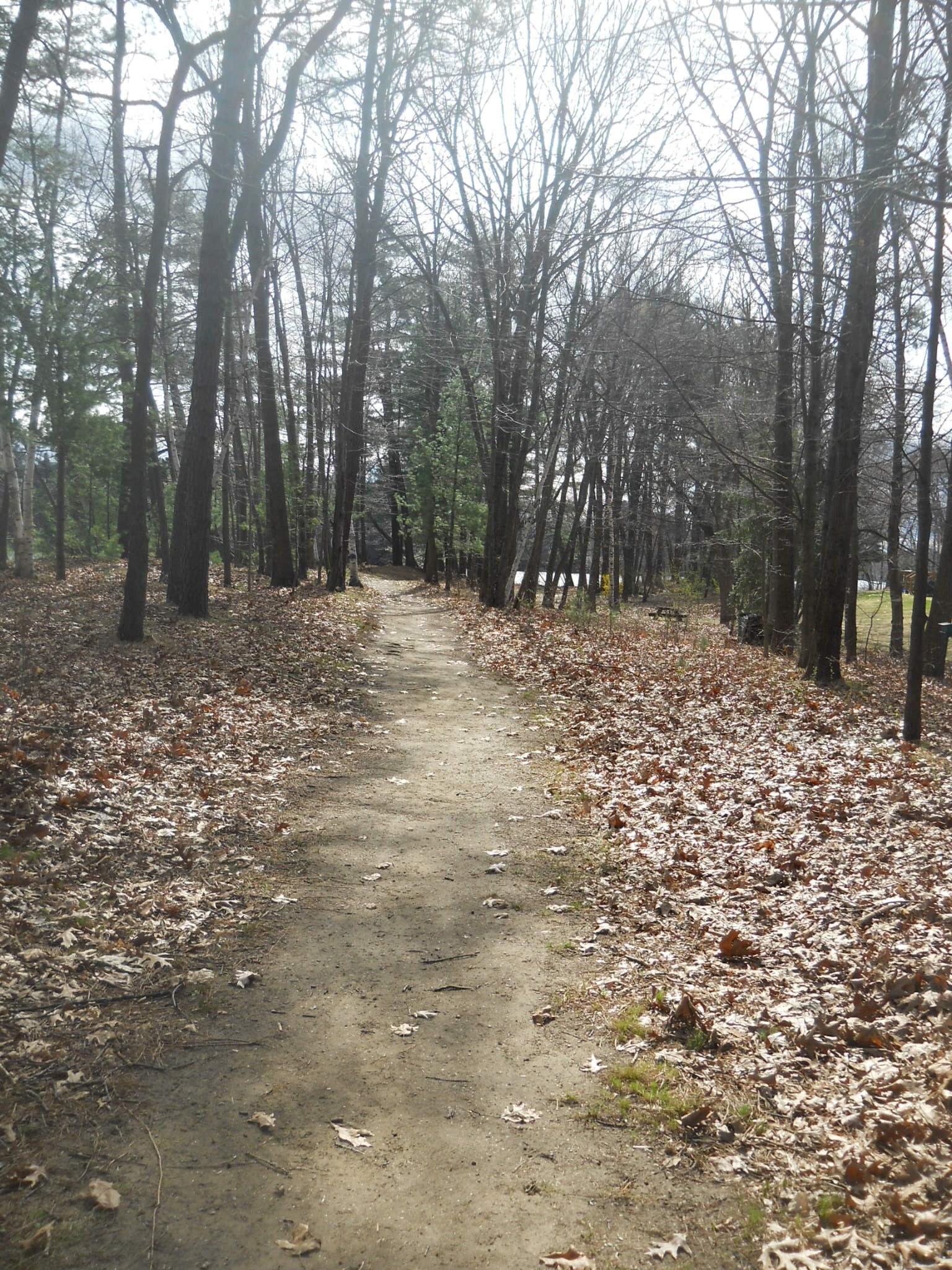 330 Wellman Ave. Unit 330, Chelmsford, MA 01863 - Image 42