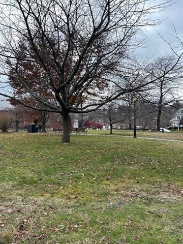 9 Baldwin St Unit 15C, Newton, MA 02458 - Image 36