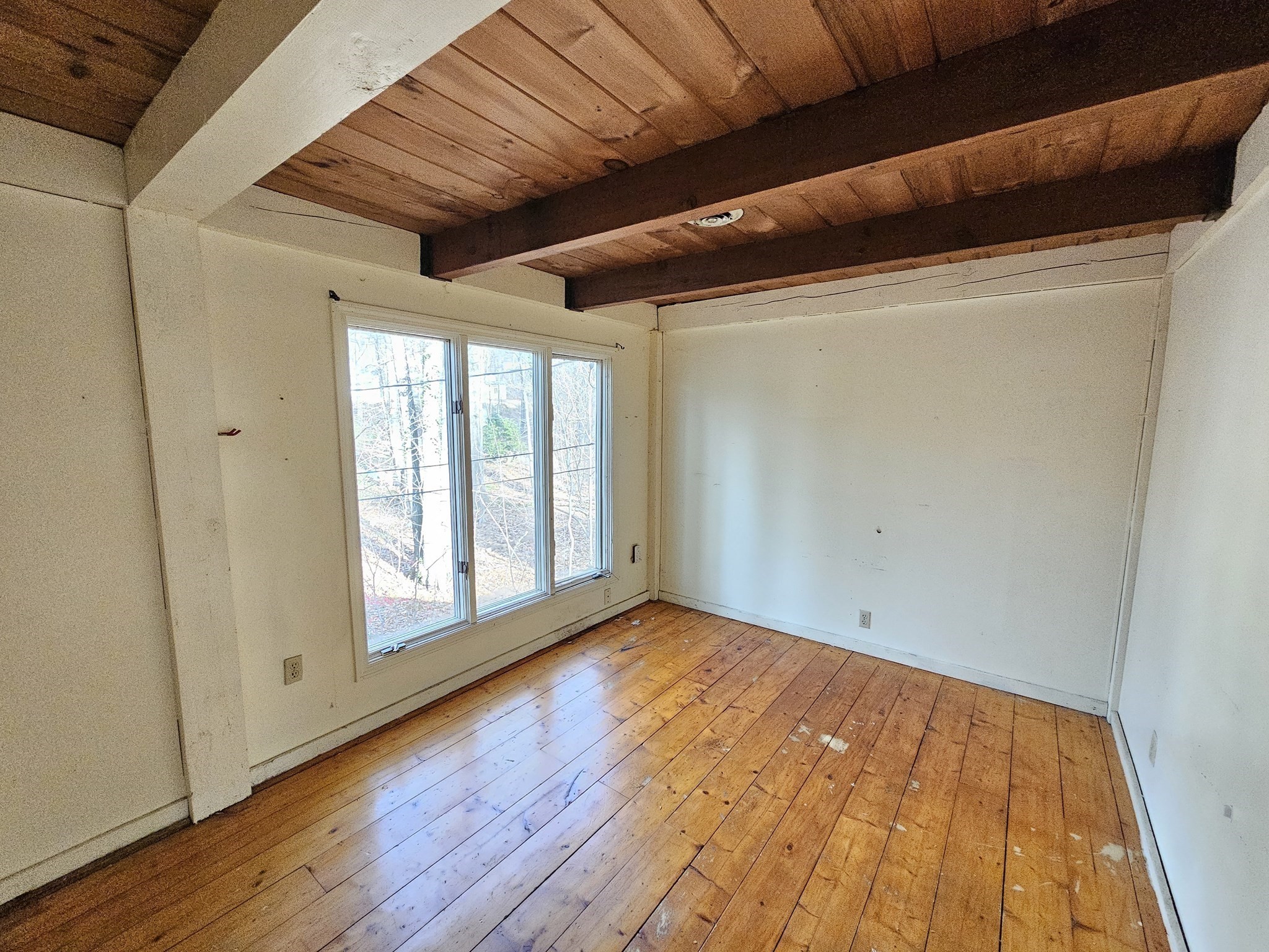 16 Juckett Hill Dr, Belchertown, MA 01007 - Image 22