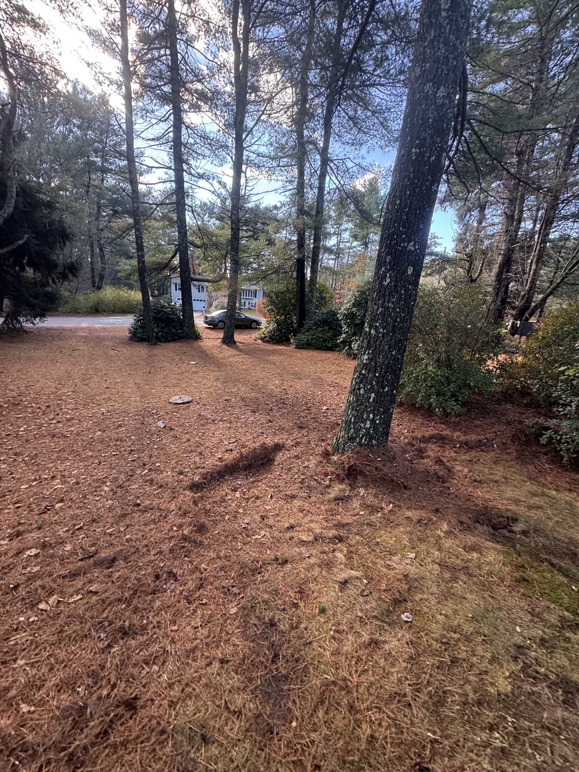 6 Kingsley Rd, Easton, MA 02356 - Image 40