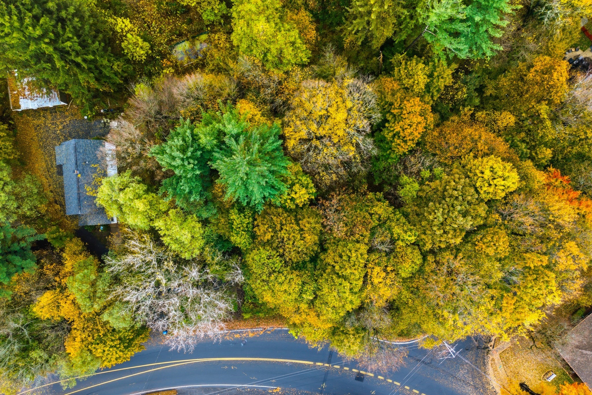 917 Elm Street, West Springfield, MA 01089 - Image 13