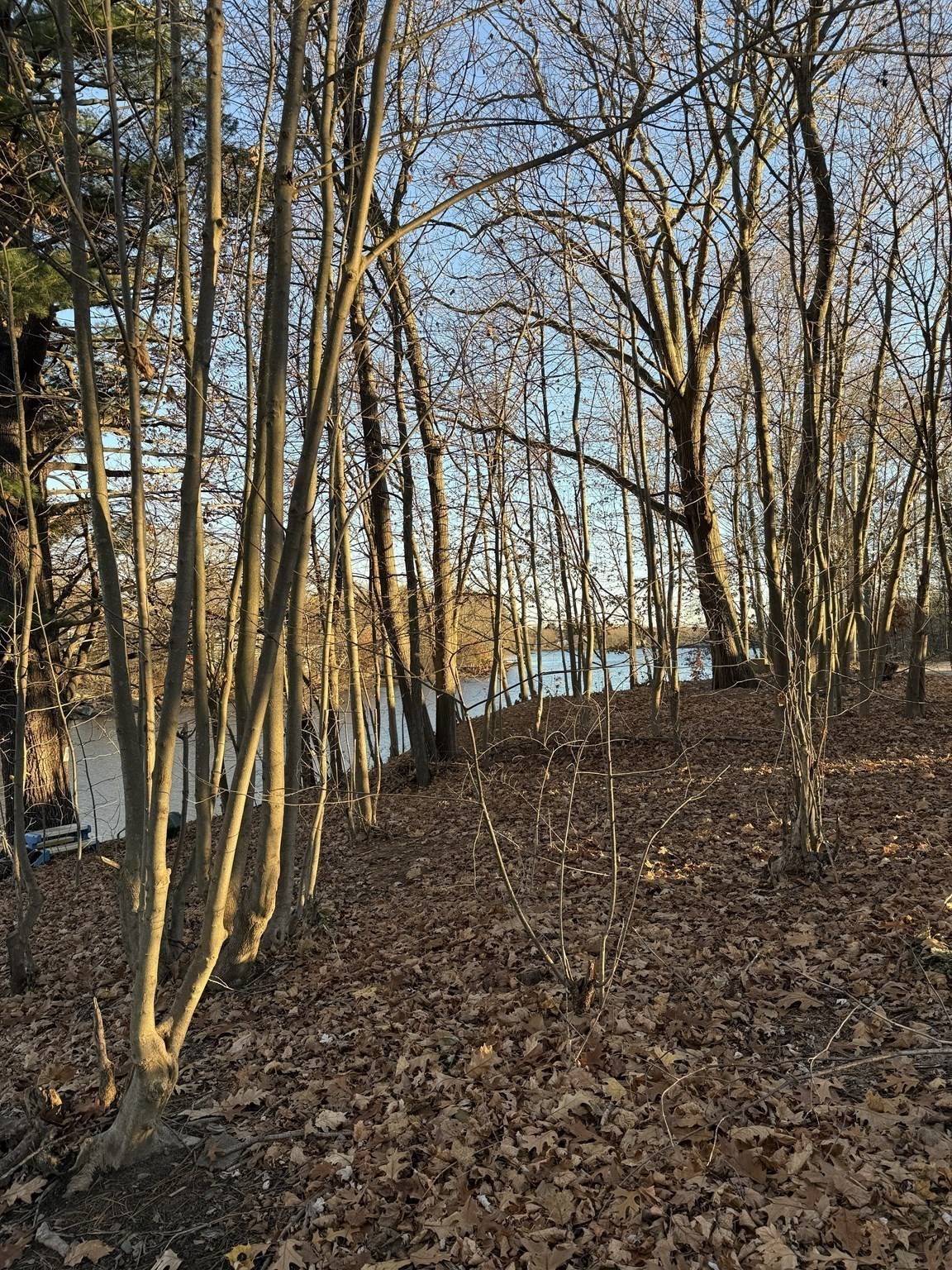 36 Jefferson Street, North Attleboro, MA 02760 - Image 31