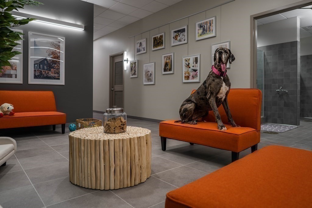 240 Devonshire Street Unit 4208, Downtown, Boston, MA 02110 - Image 39