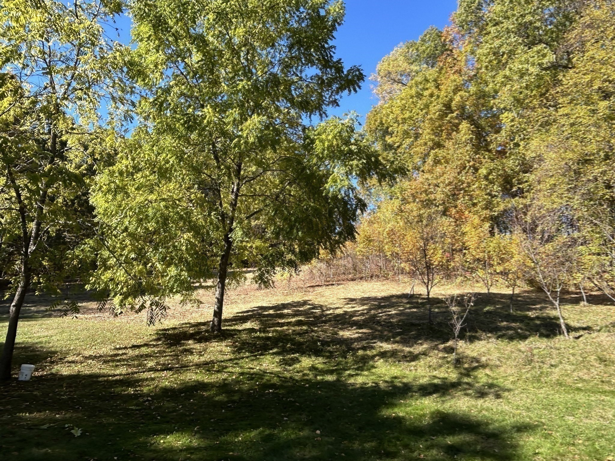 34 Shattuck Street, Groton, MA 01450 - Image 24