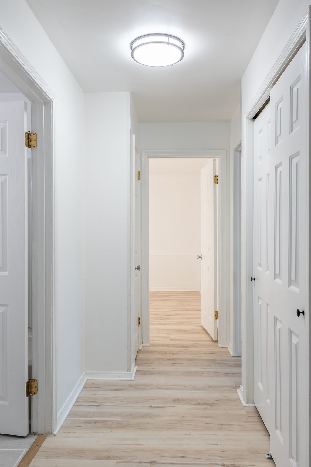 80 Damon Rd Unit 5104, Northampton, MA 01060 - Image 12