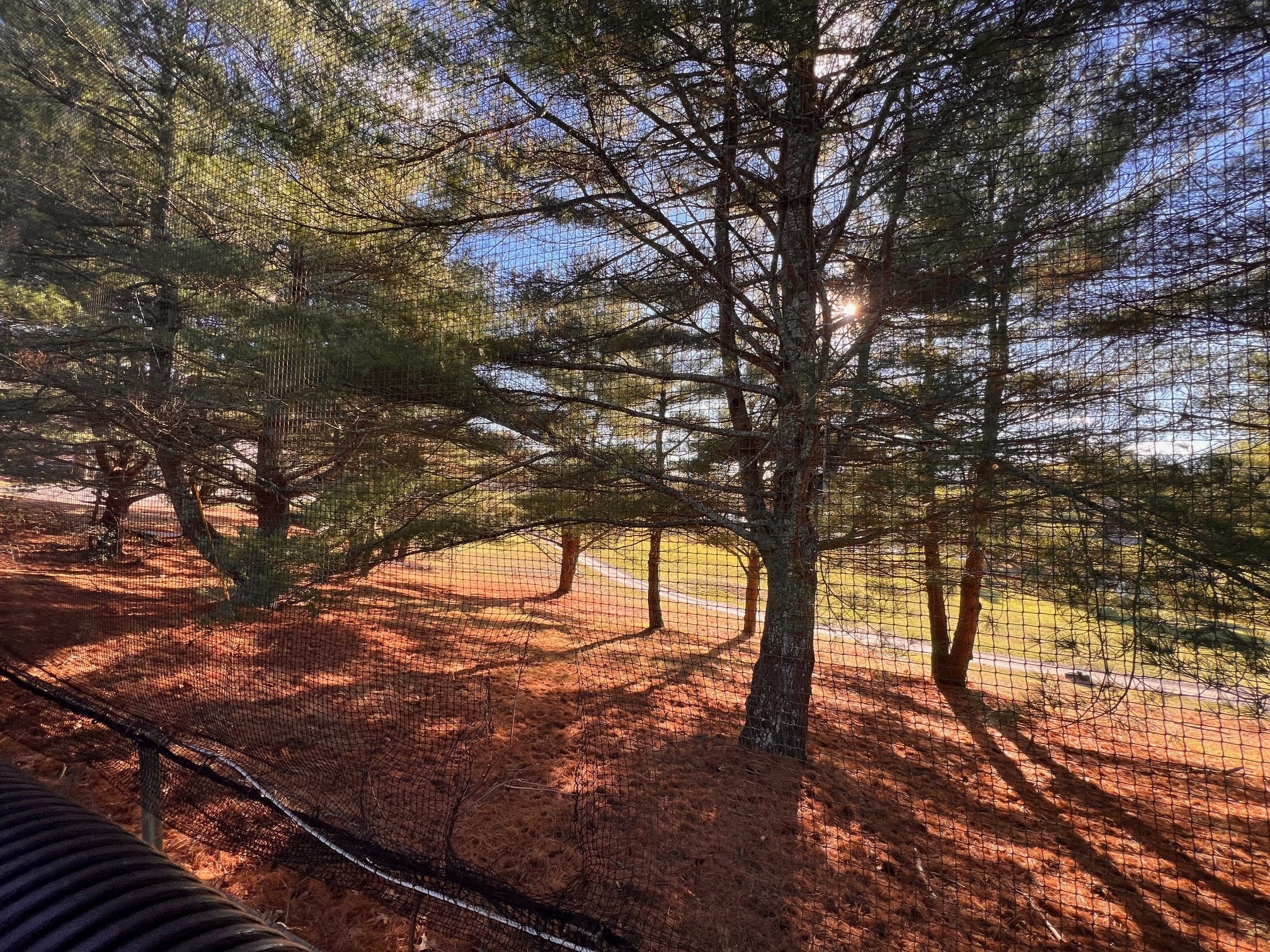 31 Reservoir Ave, Lakeville, MA 02347 - Image 4