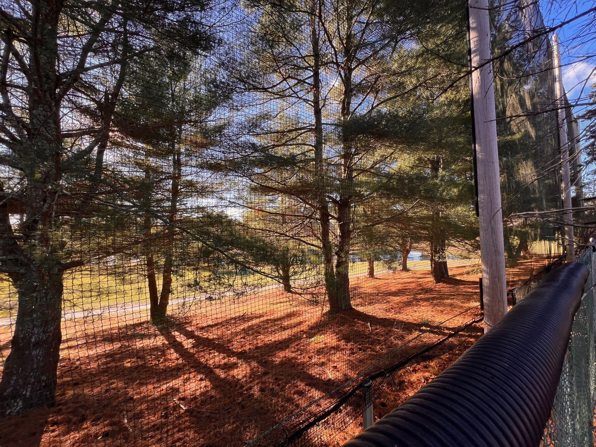 31 Reservoir Ave, Lakeville, MA 02347 - Image 5