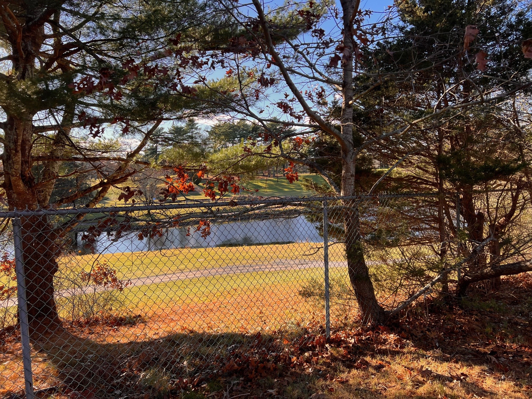 33 Reservoir Ave, Lakeville, MA 02347 - Image 3