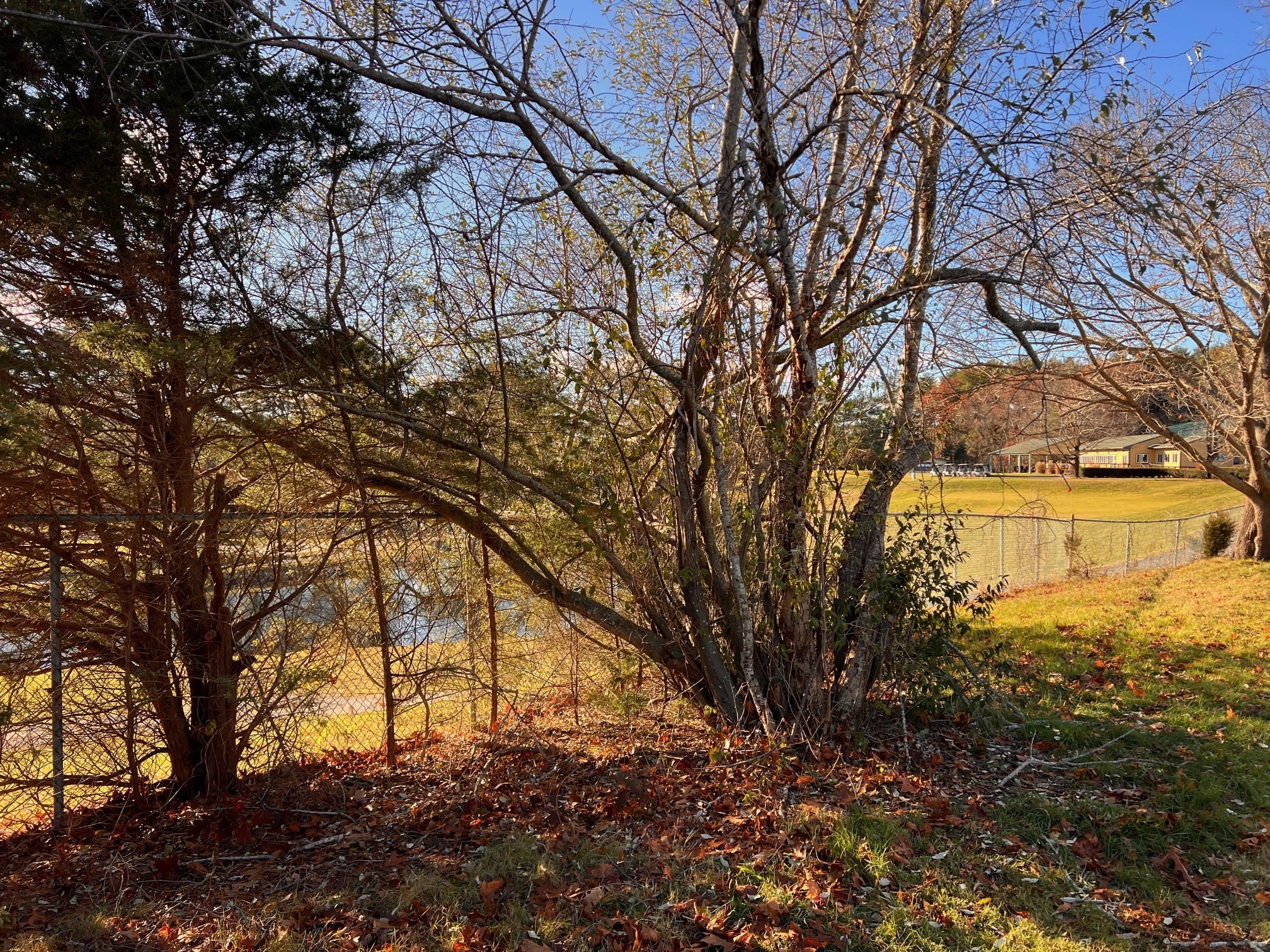 33 Reservoir Ave, Lakeville, MA 02347 - Image 8