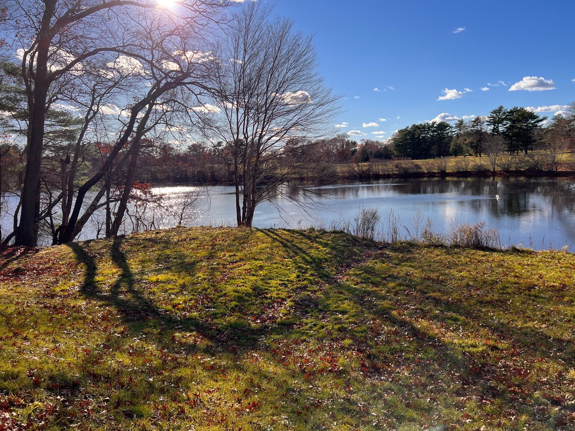 2 Reservoir Ave, Lakeville, MA 02347 - Image 7