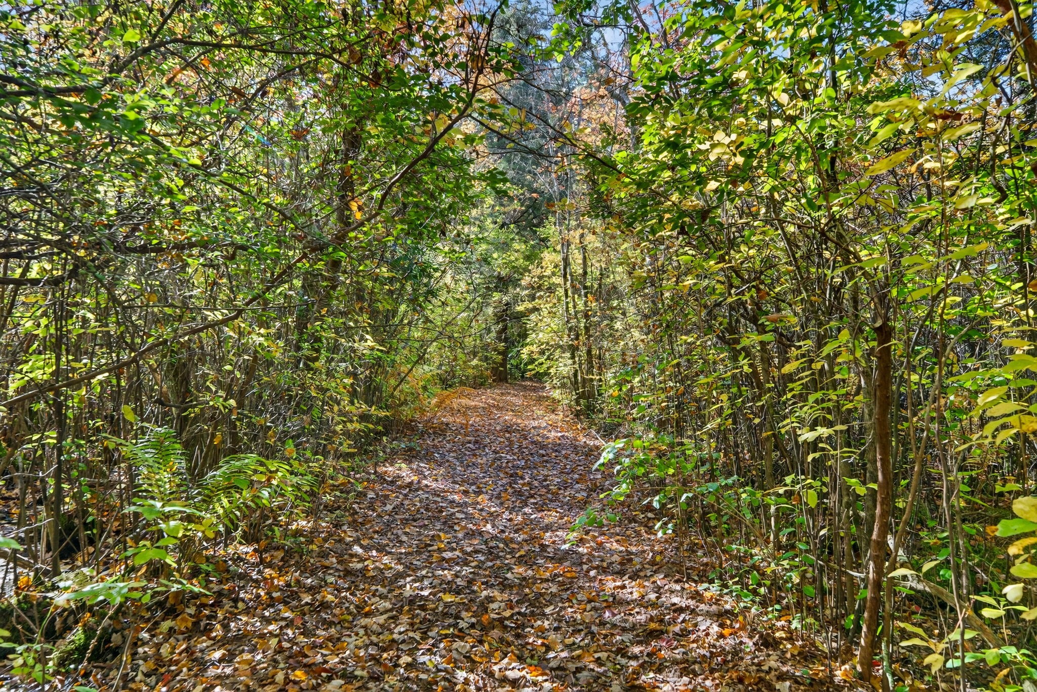 105 Rock Odundee Rd, Dartmouth, MA 02748 - Image 32