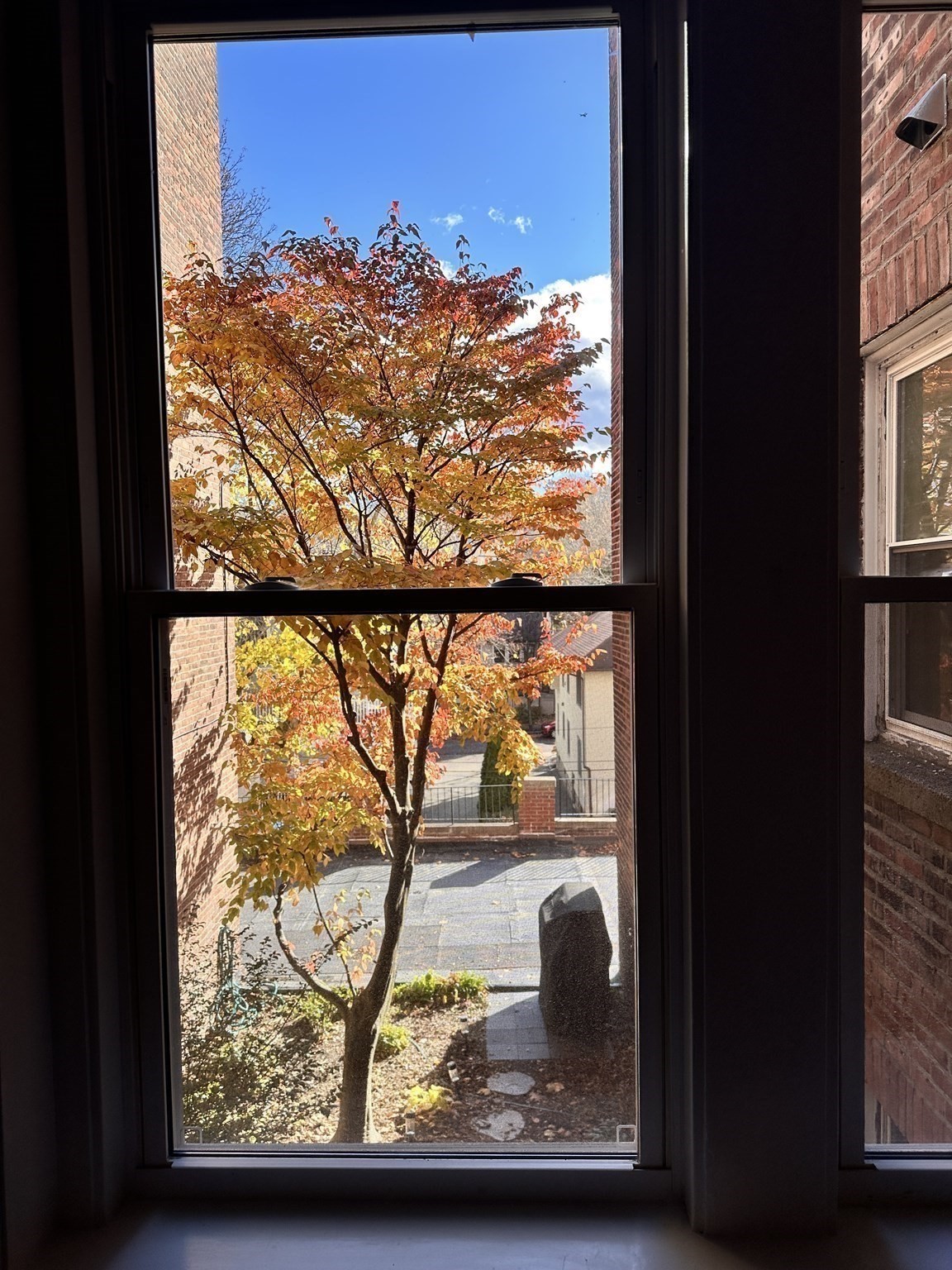 1521 Beacon St Unit 1, Brookline, MA 02446 - Image 9