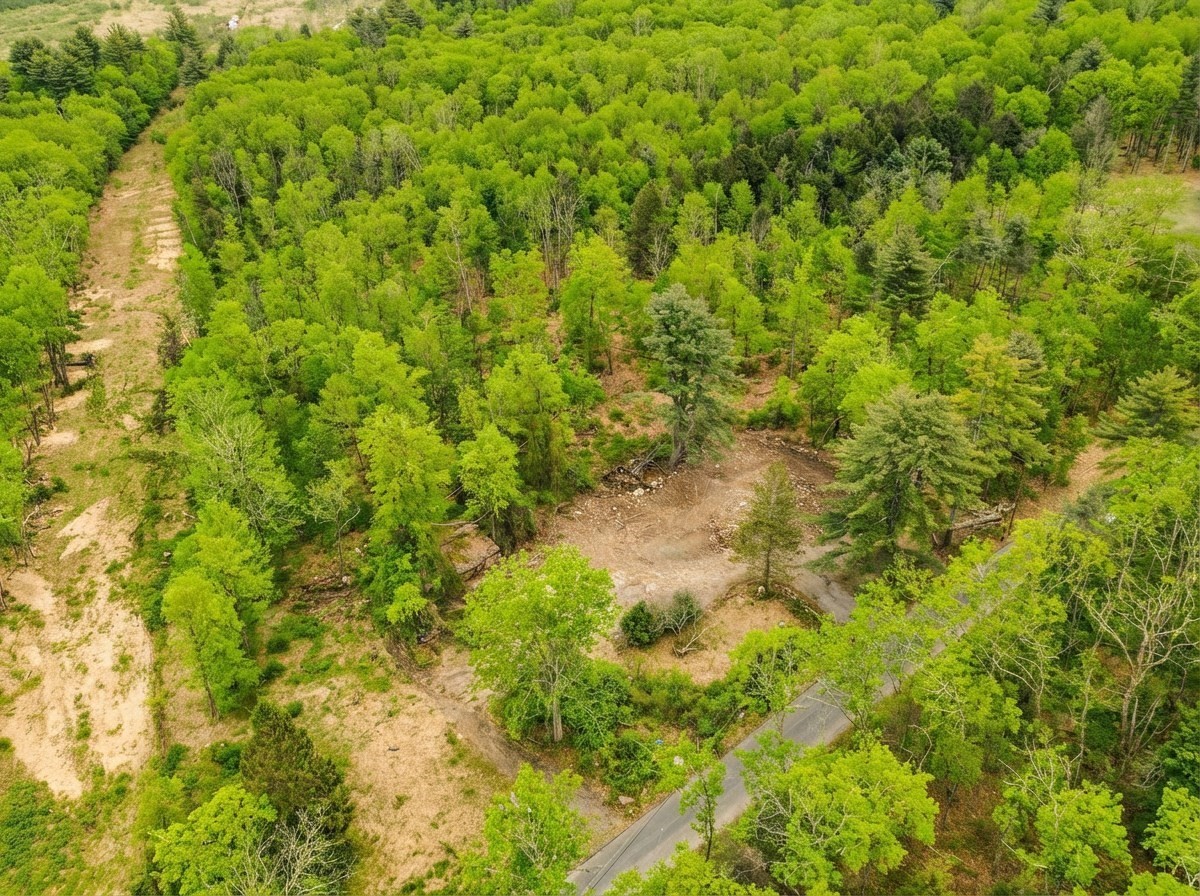 179 Chapin Rd, Hampden, MA 01036 - Image 3