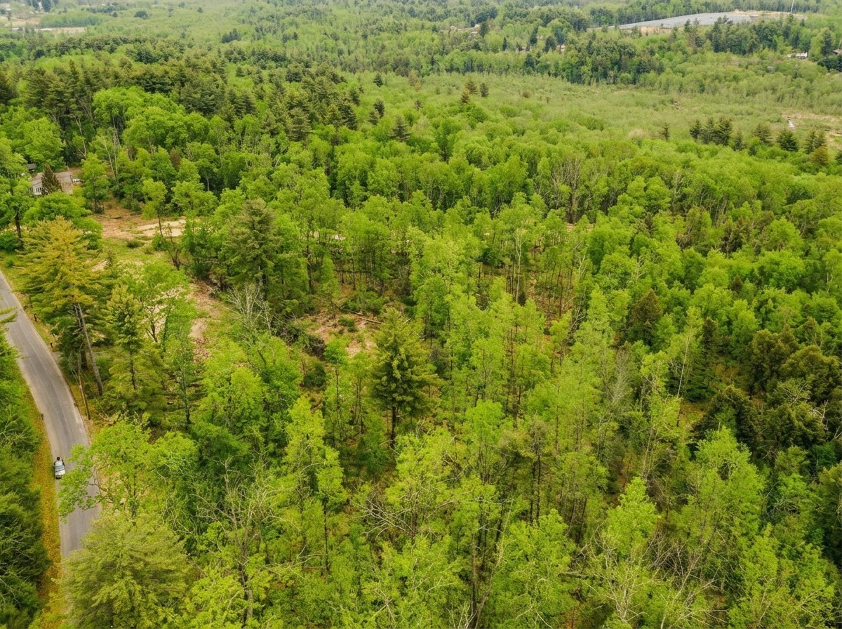 179 Chapin Rd, Hampden, MA 01036 - Image 4