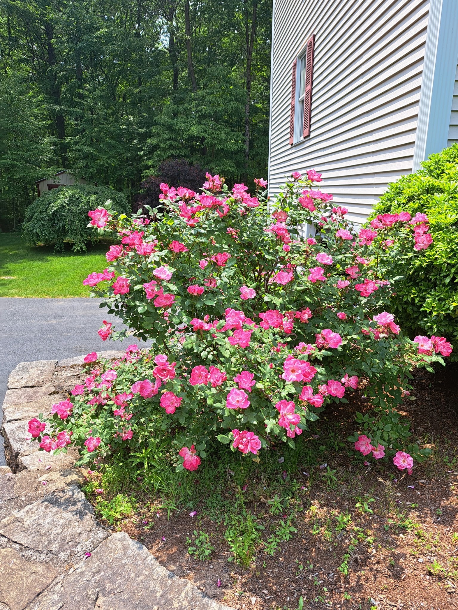 60 Tyler Dr, Uxbridge, MA 01569 - Image 41