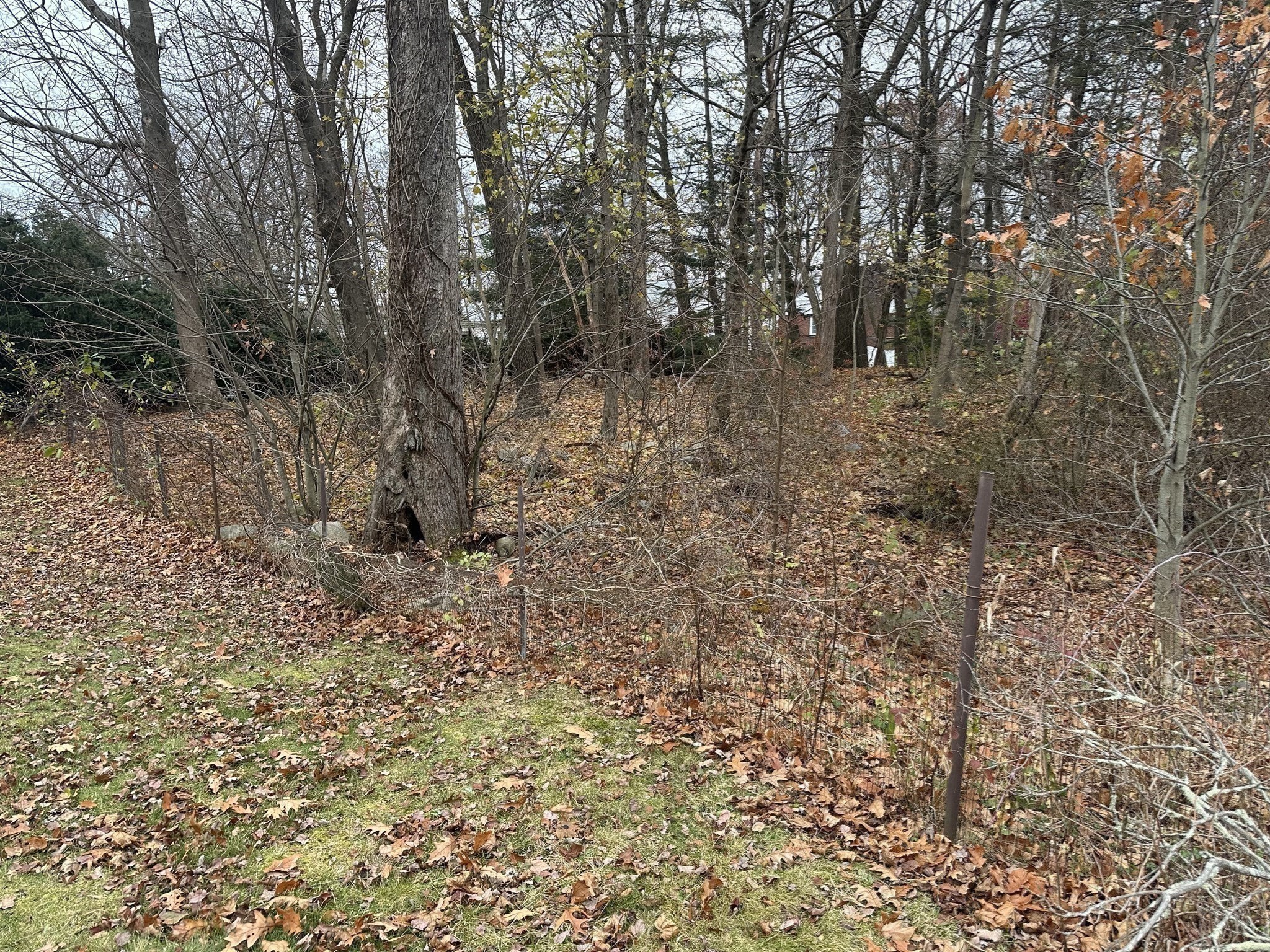 50 Fairview Street, Westwood, MA 02090 - Image 17