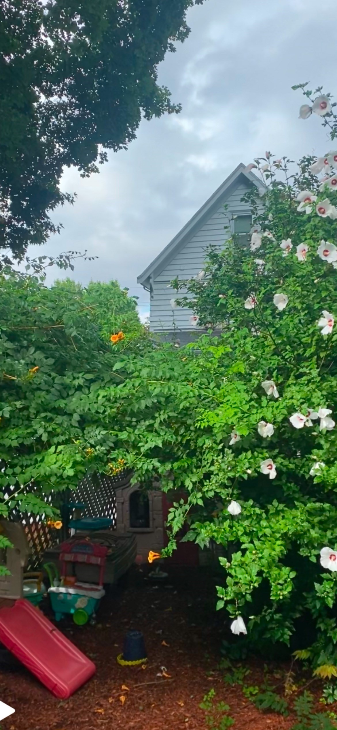 13 Nelson St Unit 13, Winchester, MA 01890 - Image 10