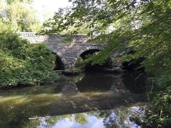 11 Danny Rd, Hyde Park, Boston, MA 02136 - Image 35