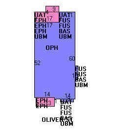 6 Oliver St, Worcester, MA 01603 - Image 40