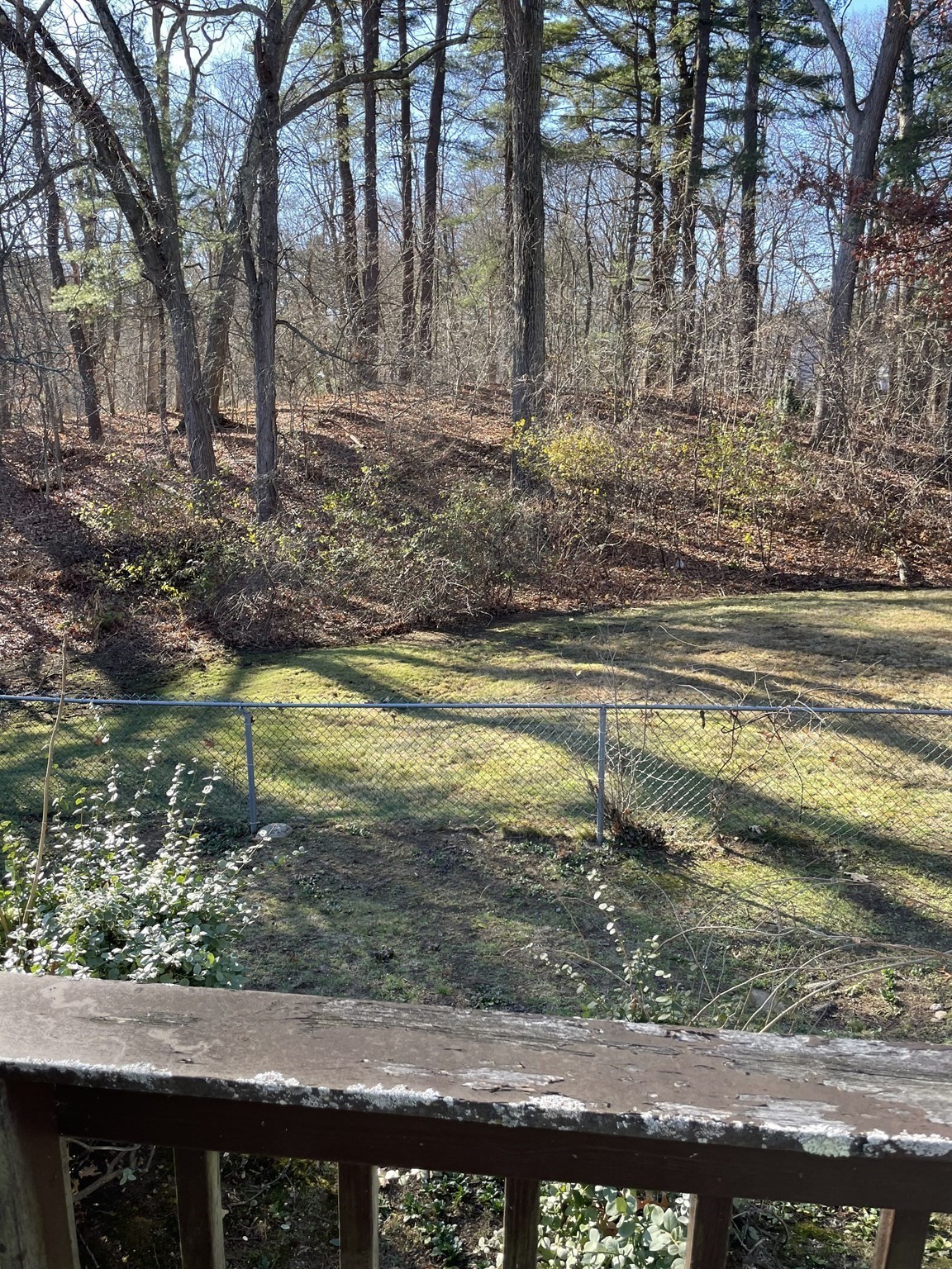 16 Peterson Rd, Natick, MA 01760 - Image 30