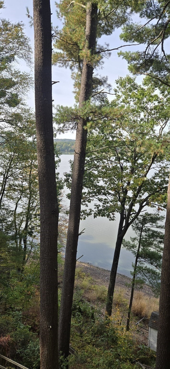 172 Stone Rd, East Brookfield, MA 01515 - Image 14