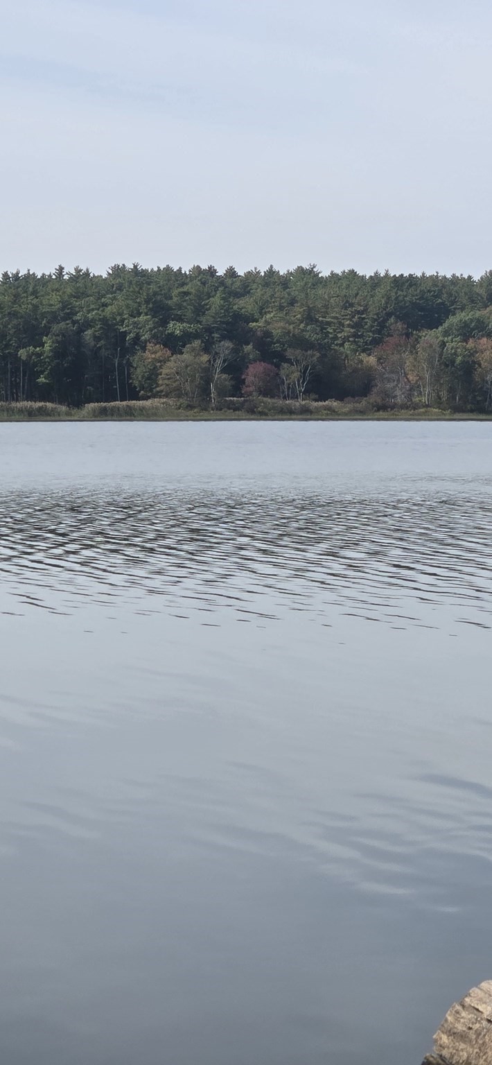 172 Stone Rd, East Brookfield, MA 01515 - Image 16